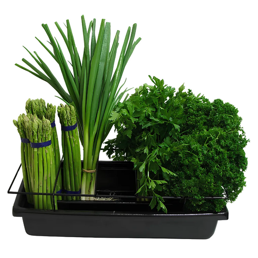 Herb & Asparagus Tub