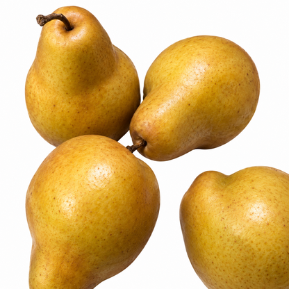 Artificial Fruit & Veg