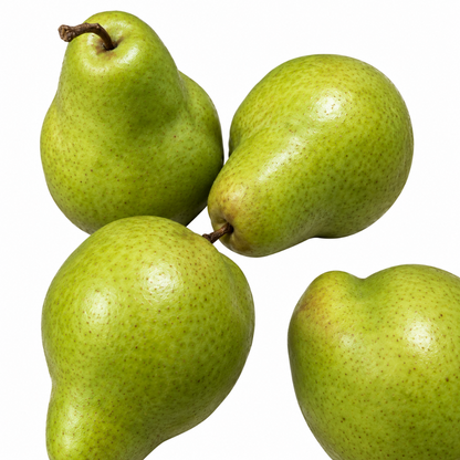 Artificial Fruit & Veg