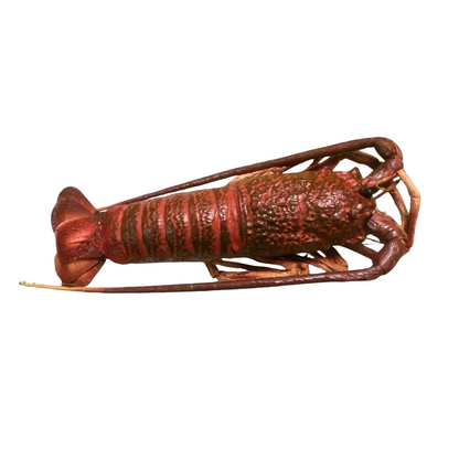 Artificial Meat