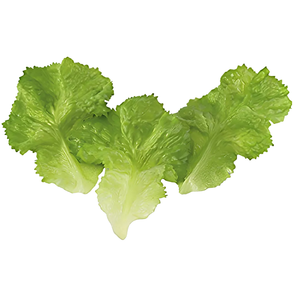Artificial Fruit & Veg