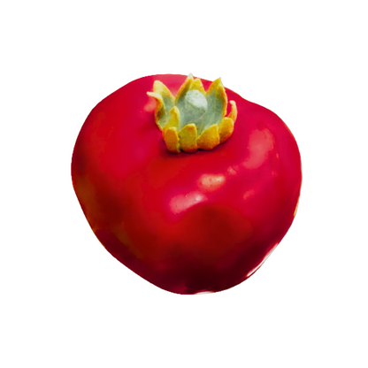 Artificial Fruit & Veg