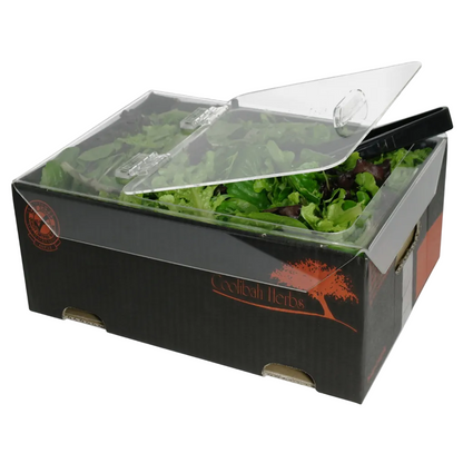 Polycarbonate Lids for Tubs